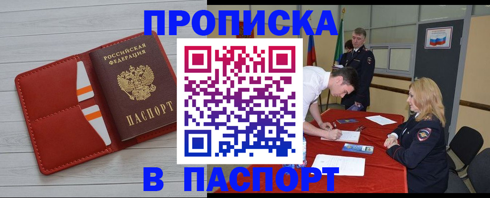 прописка гарантия в Хвалынске